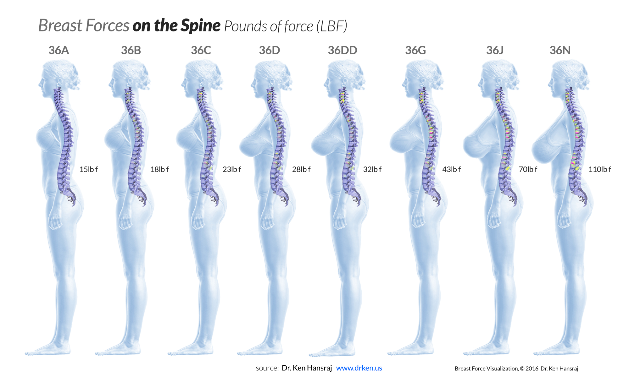 new-study-reveals-increasing-one-cup-size-adds-nearly-10-pound-strain